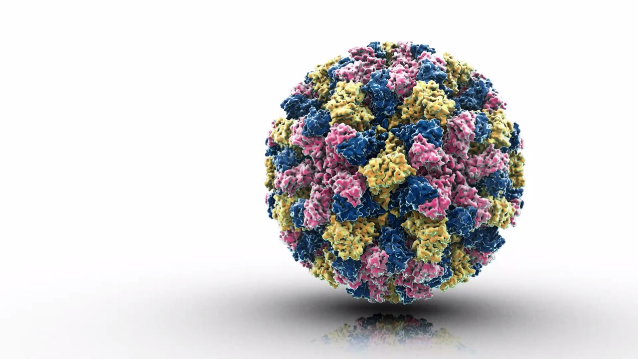 Großbritannien: Das Norovirus ist auf dem Vormarsch