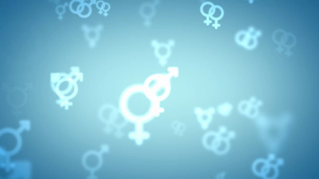 Bildungsministerin Karin Prien will gendergerechte Sprache an Schulen verbieten