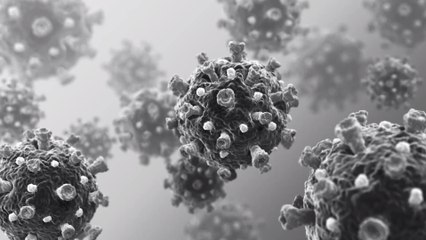 COVID-19: Weltweite Jagd auf Menschen, die genetisch gegen das Virus resistent sind, hat begonnen