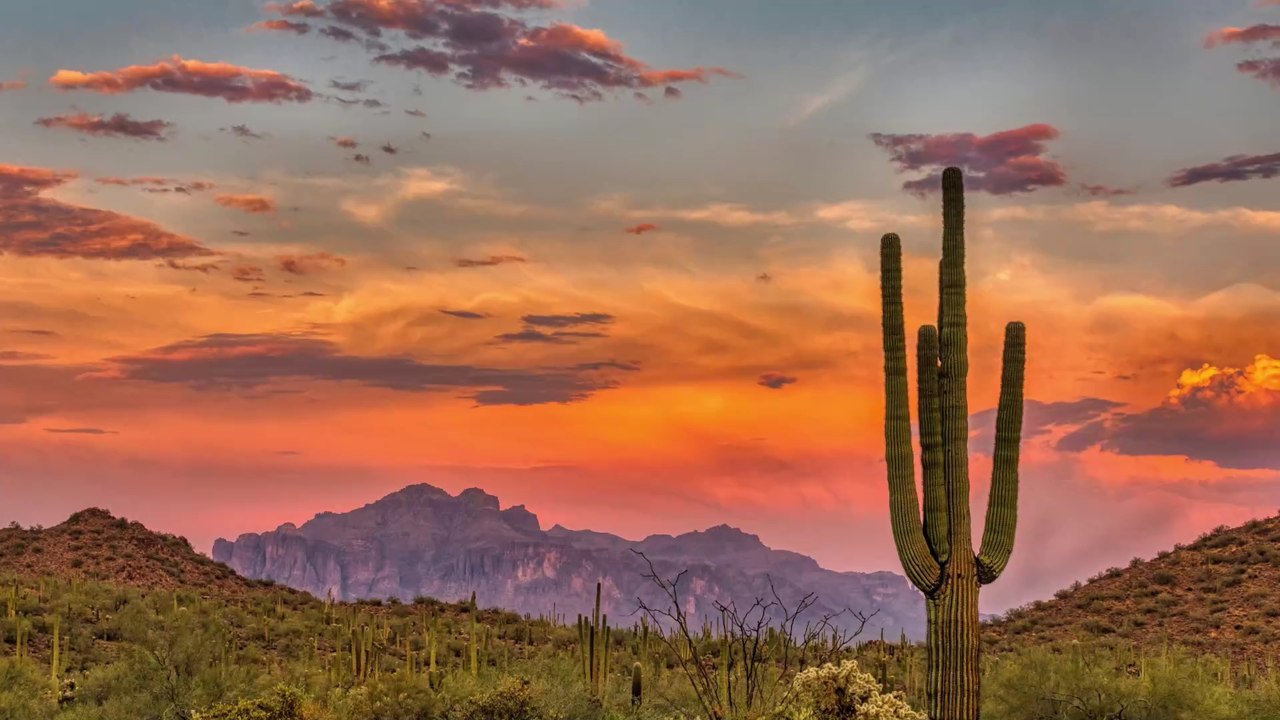 Wiedereröffnung der US-Grenzen: Unter welchen Bedingungen kann man reisen? 