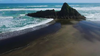 Neuseeländische Studentin von Opossum "als Geisel" genommen