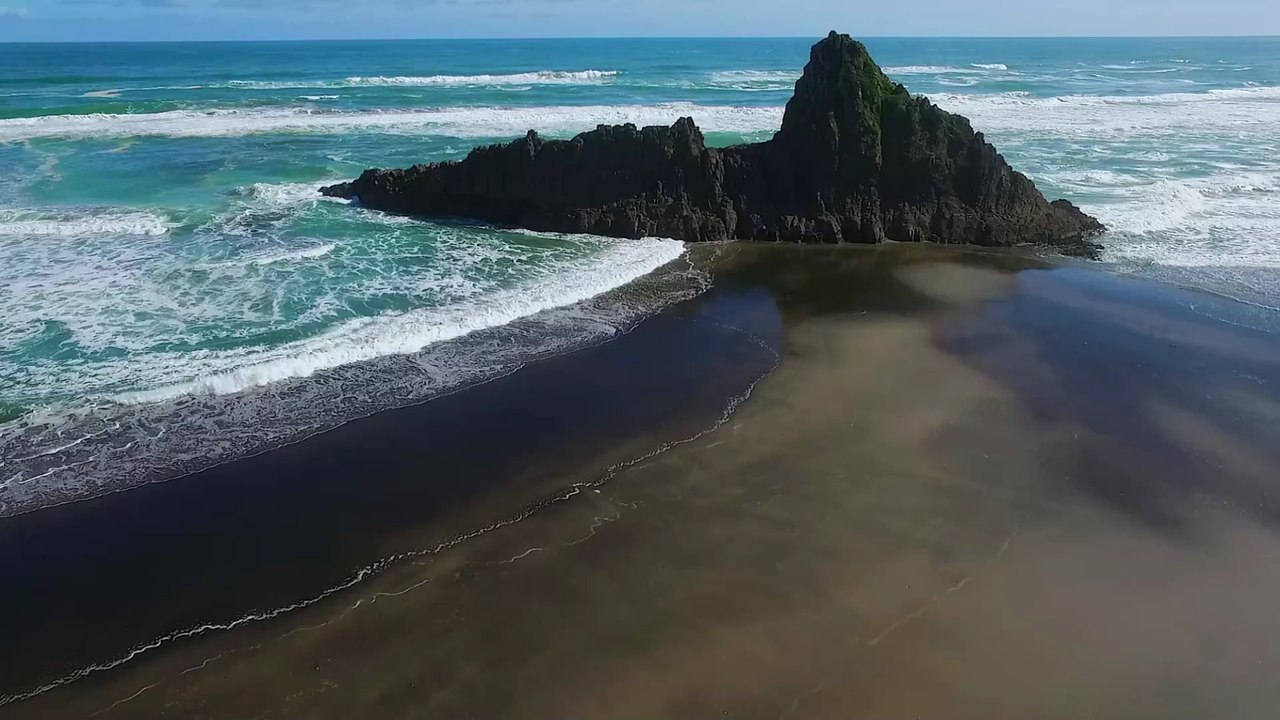 Neuseeländische Studentin von Opossum 'als Geisel' genommen