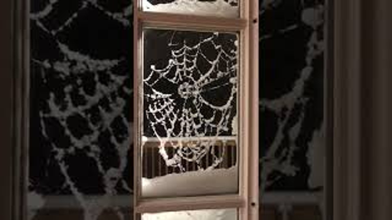 Snowy Spider Web
