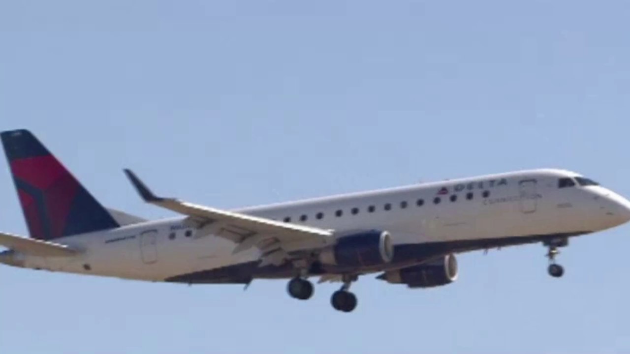 Frau stillt Katze an Bord eines Flugzeugs vor den Augen der Passagiere