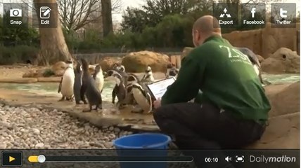 Le zoo de Londres fait l'inventaire de ses pensionnaires