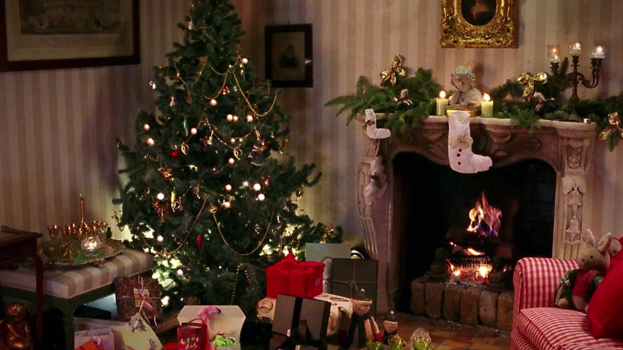 Tipps zum Weihnachtsbaumkauf: Welche Tanne ist am besten?