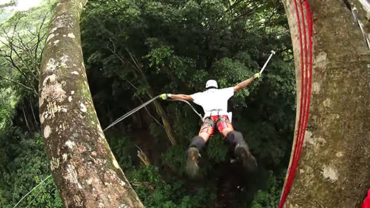Bungee-jumping mitten in den wäldern von hawaii