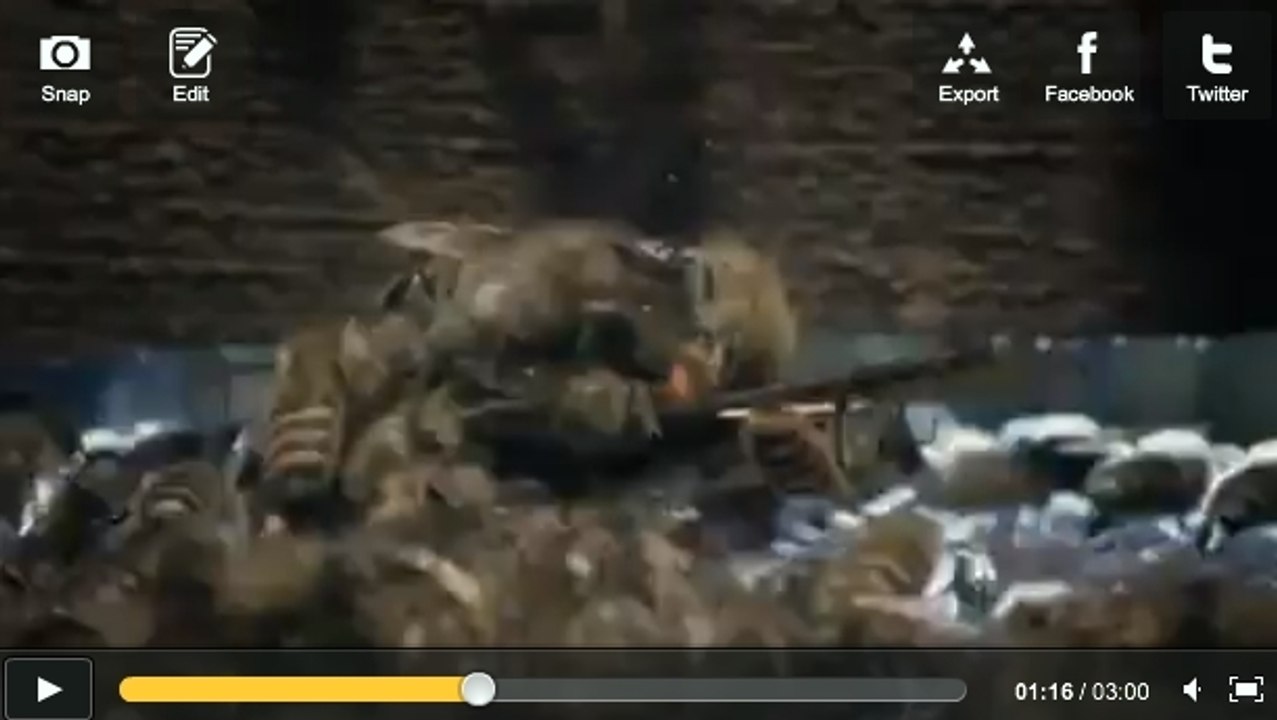 Abeilles japonaises : une balle de chaleur pour tuer les frelons