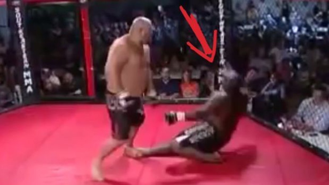 Unglaublicher Kampf der Schwergewichte endet mit einem gewaltigem K.O.