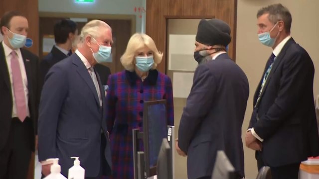 Heimlicher Sohn von Prinz Charles und Camilla kommt nach Großbritannien