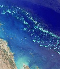 La Grande Barrière de Corail de nouveau menacée par l'extraction de gaz de schiste