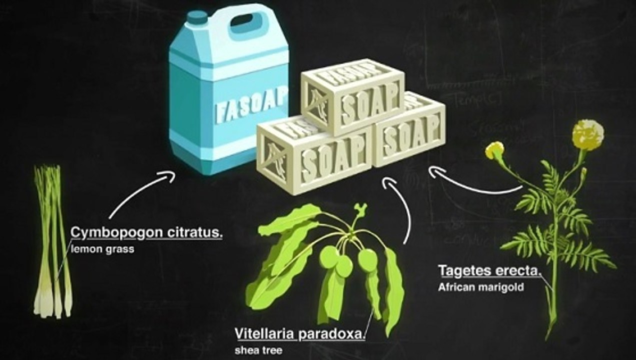 Paludisme : Faso Soap, des étudiants créent un savon qui repousse les moustiques