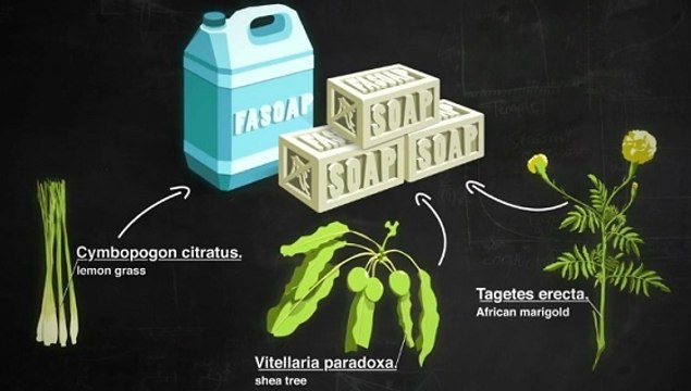 Paludisme : Faso Soap, des étudiants créent un savon qui repousse les moustiques