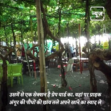 Taste Of India - Have You Visited This Restaurant In A Grape Yard