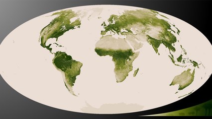 La "Terre verte", une carte dévoile la répartition de la végétation mondiale