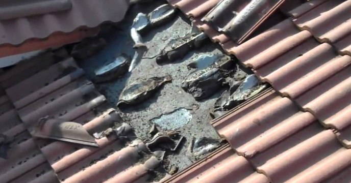 Dachdecker hören Geräusche unter den Ziegeln, dann machen sie eine unglaubliche Entdeckung