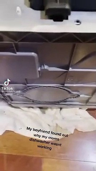 Joven se hace viral por descubrir un nido de ratas en su lavavajillas