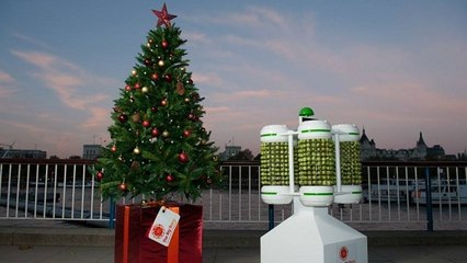 Le premier sapin de Noël alimenté... par des choux de Bruxelles