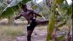 Muay Thai: Buakaw bricht einen Baum mit seinen eigenen Beinen entzwei!