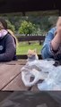 KUCING LUCU MEONG MEONG | FUNNY CATS COMPILATION ✓