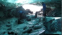 Glacier Mendenhall : des arbres vieux de 1 000 ans émergent de la glace