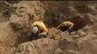 Deux momies précolombiennes waris découvertes dans la banlieue de Lima