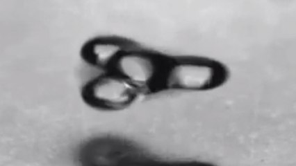 Des gouttes d’eau qui lévitent et changent de forme sous l'effet d'ultrasons