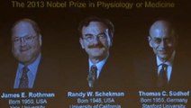 Prix Nobel de Médecine 2013 : trois chercheurs primés pour leur découverte sur le transport des molécules dans les cellules