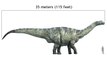 Comment l'Argentinosaurus, l'un des plus grands dinosaures connus, se déplaçait-il ?