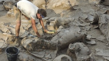 Une cave à vin vieille de 3 700 ans découverte en Israël