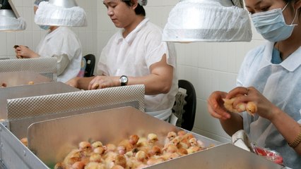Küken-Schreddern: Deutsches Gericht spricht umstrittenes Urteil