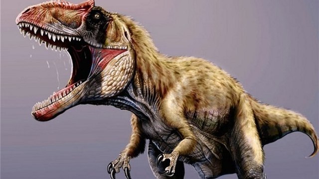 Siats meekerorum, un dinosaure carnivore aussi redoutable que le T.rex