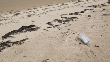 Un message vieux de 50 ans découvert dans une bouteille prédit la fonte d'un glacier