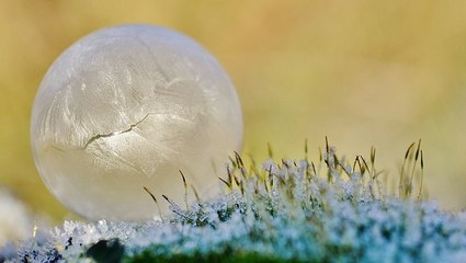 Que se passe t-il quand on souffle des bulles de savon dans un froid glacial ?