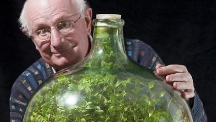 Un incroyable jardin se développe dans une bouteille fermée depuis 50 ans