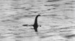 Le monstre du Loch Ness a t-il disparu d'Ecosse ?
