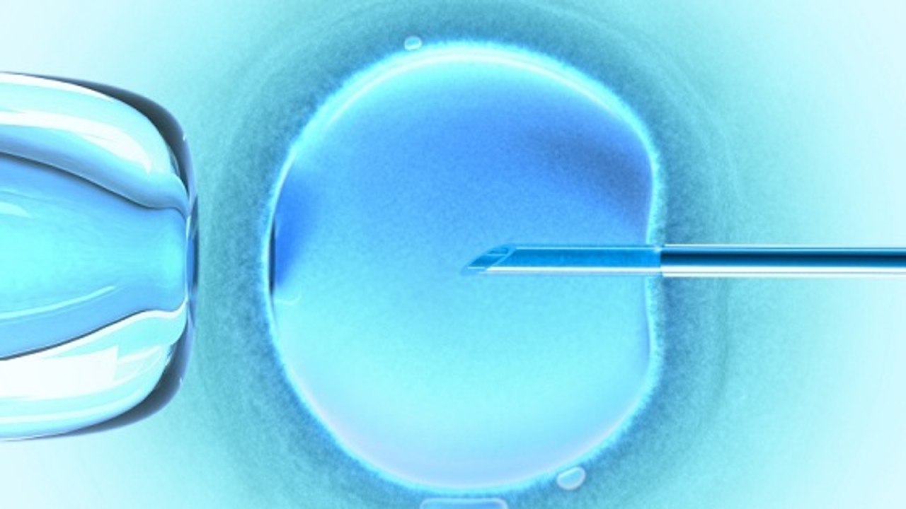 Fécondation in vitro : bientôt des bébés nés de trois parents ?