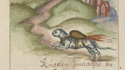 Des chats transformés en bombes dans un manuel de guerre du 16e siècle