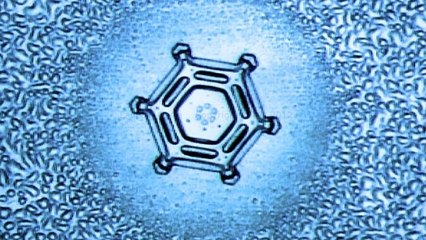 Waterphoto : un extraordinaire voyage au coeur de l'eau