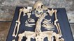 Peste noire : les squelettes de victimes mortes au XIVe siècle livrent leur secrets