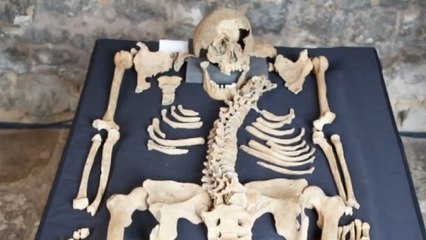 Peste noire : les squelettes de victimes mortes au XIVe siècle livrent leur secrets