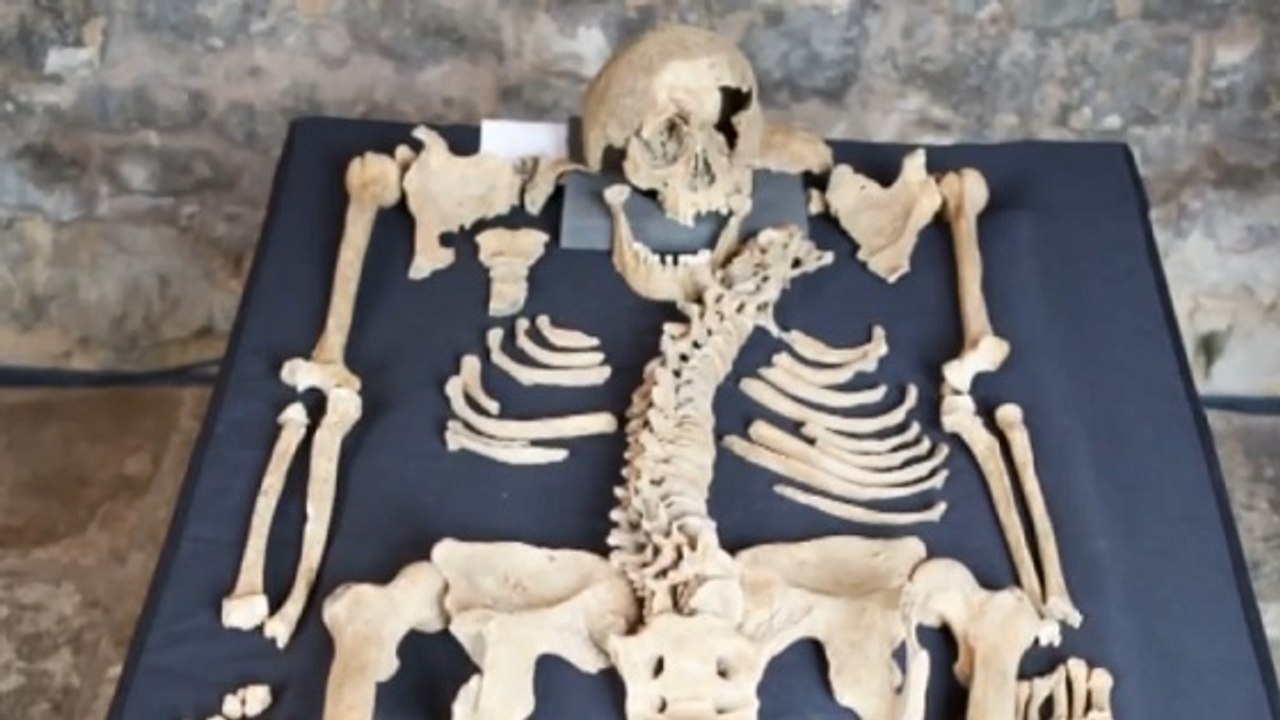 Peste noire : les squelettes de victimes mortes au XIVe siècle livrent leur secrets