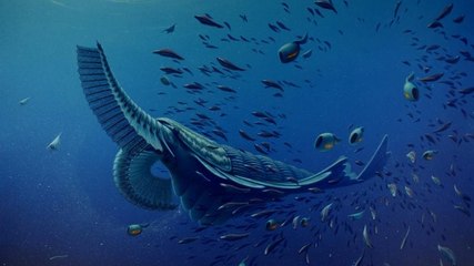 Découverte d’une crevette géante et fossile datant du Cambrien