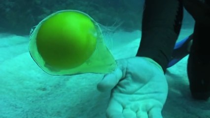 Que se passe t-il quand vous cassez un oeuf dans les profondeurs marines ?