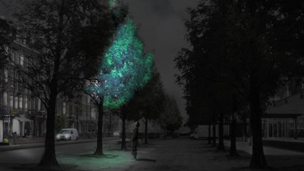 Et si des arbres bioluminescents remplaçaient l'éclairage public ?