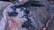 Un cimetière de reptiles marins préhistoriques dévoilé par la fonte des glaces au Chili