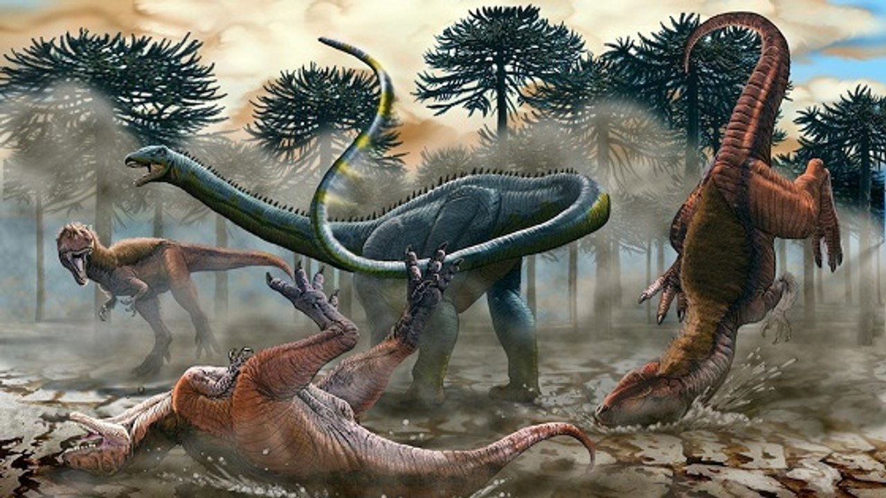 Dinosaure : un petit cousin du diplodocus découvert en Argentine