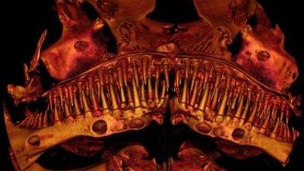 Un étrange poisson-chat souterrain à la mâchoire d’Alien