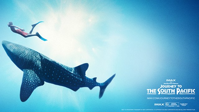 South Pacific , partez pour un extraordinaire voyage en Papouasie à la Géode