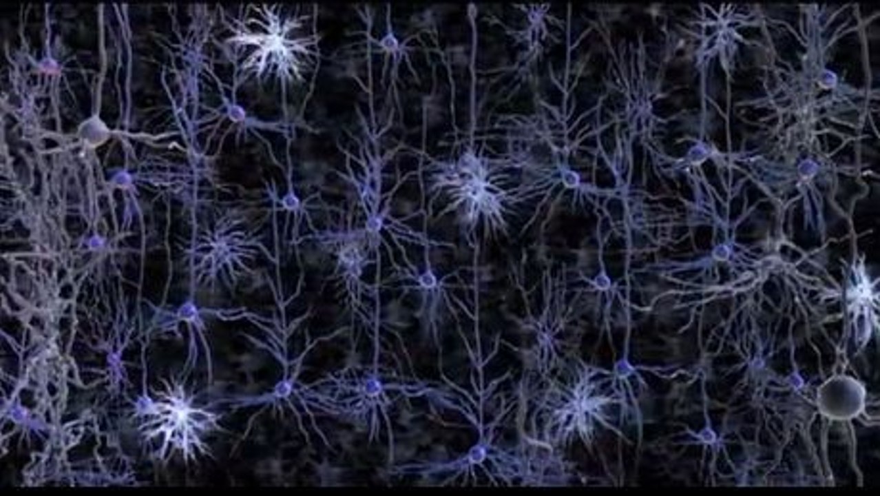 Neurone : une nouvelle technique 3D pour visualiser l'activité nerveuse en temps réel